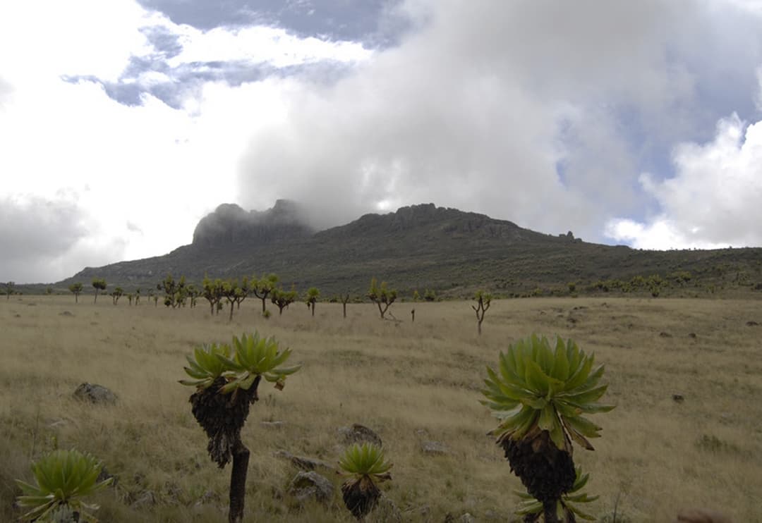 Mount Elgon