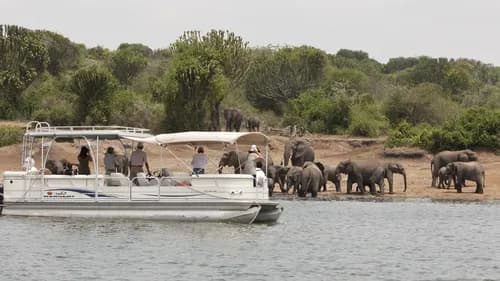 Boat Cruises in Uganda
