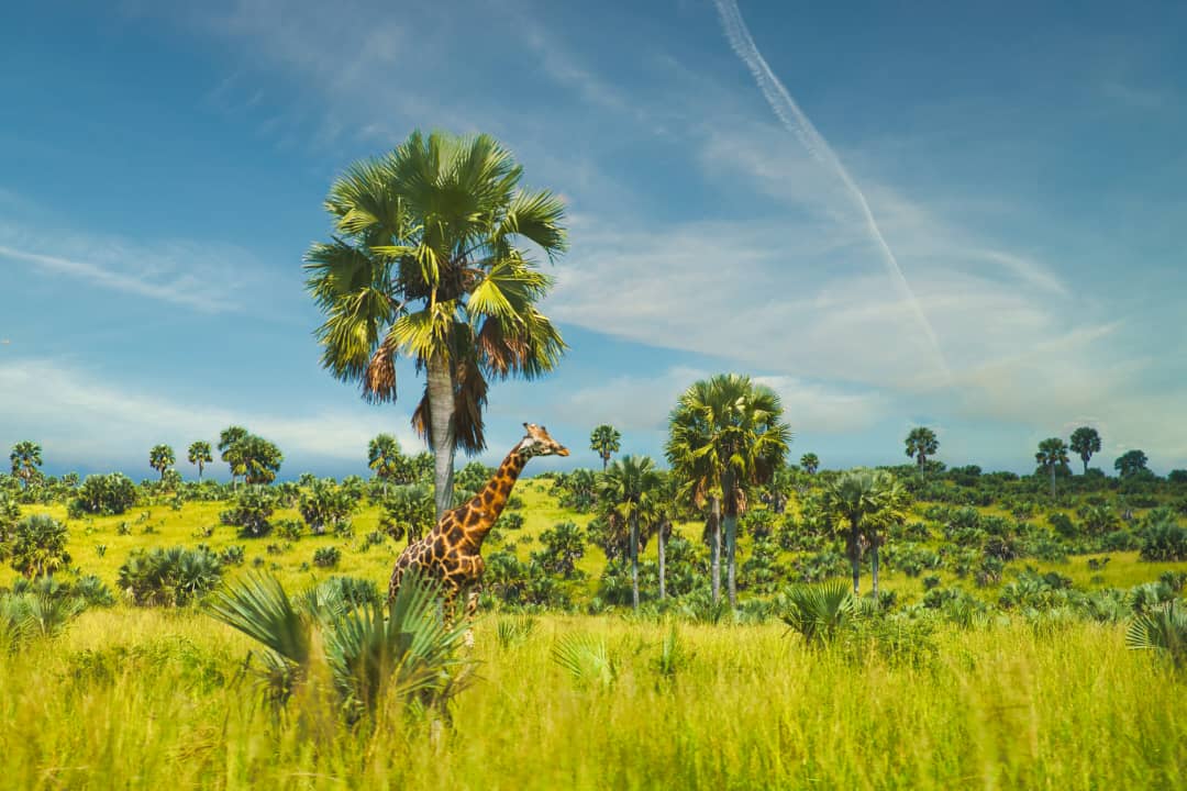 3 Days Wildlife & Cultural Experience In Tanzania
