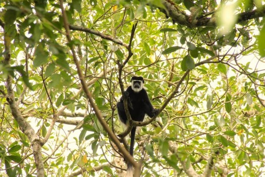 3 Days Kigali City Tour