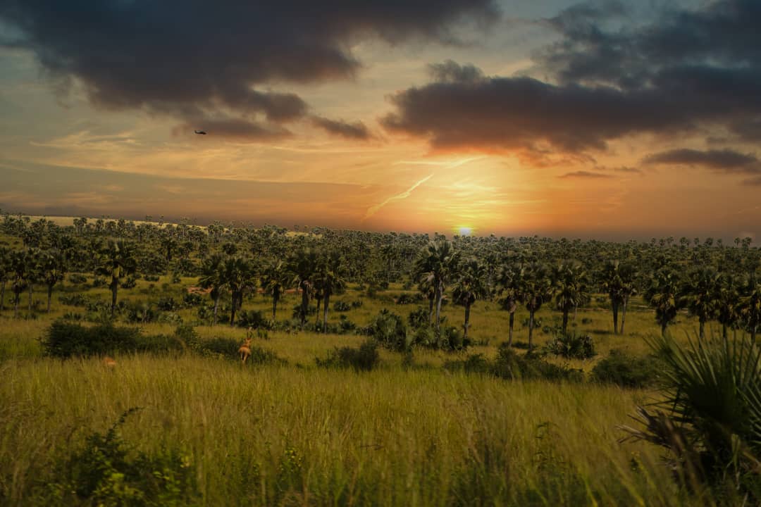 7 DAYS BEST OF UGANDA’S CULTURAL AND COMMUNITY TOUR
