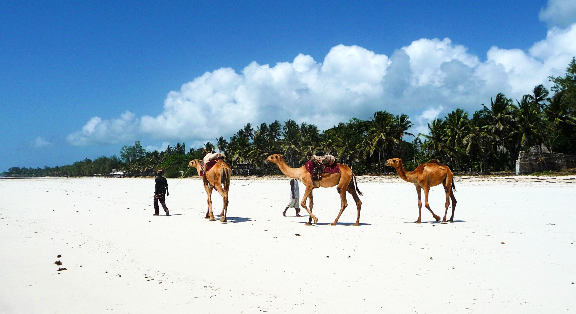11 Days Uganda and Tanzania Safari
